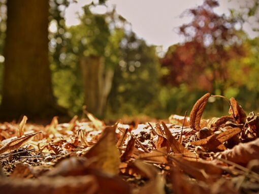 نجاحنا المتأخر ليس عيباً